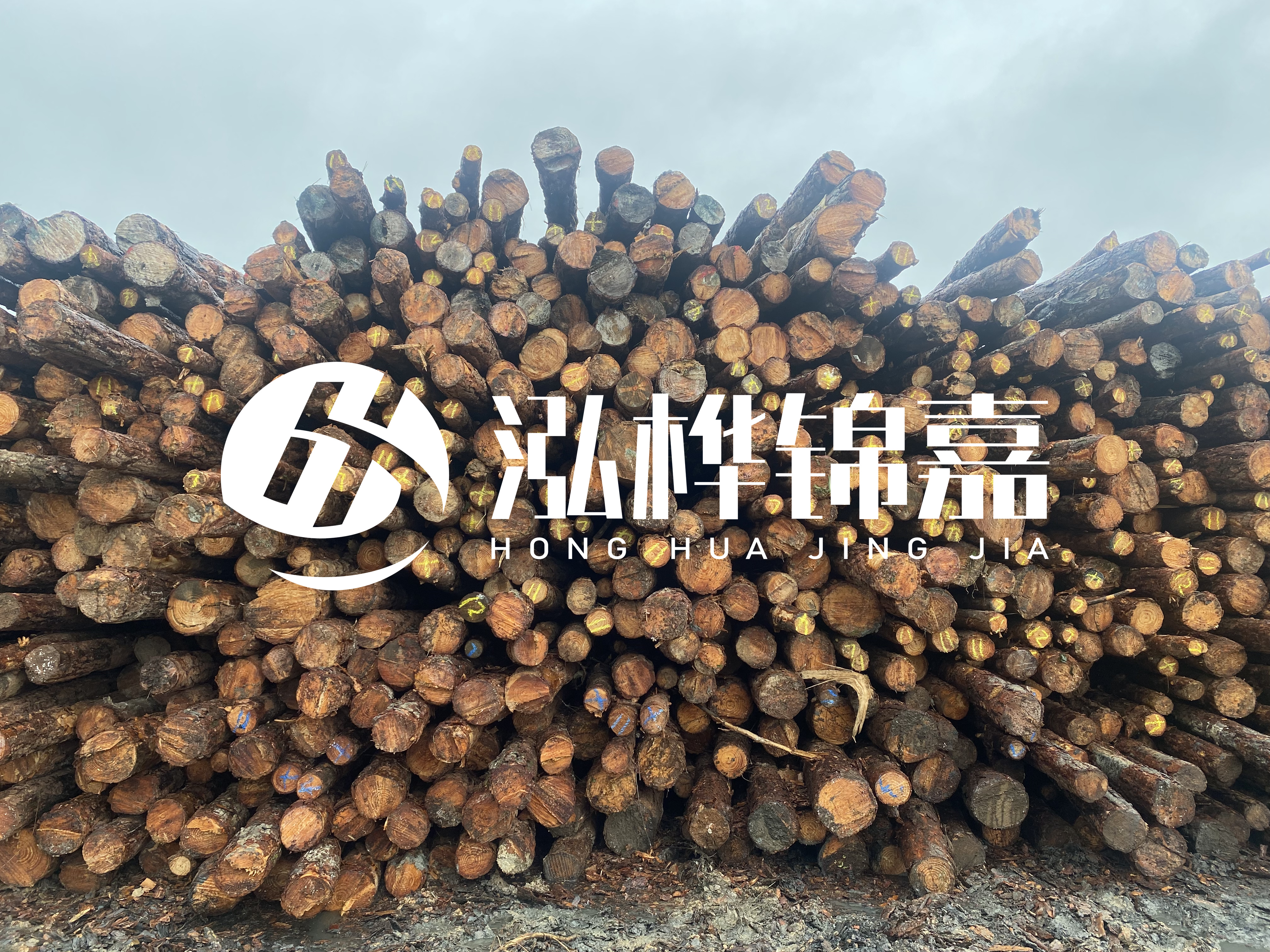 松木樁的直徑一般取多少？
