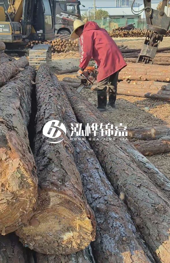 長沙打樁木批發(fā)廠家在哪里？聯(lián)系方式是什么？