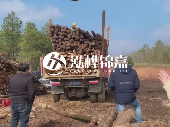 松木樁價(jià)格是按米算還是按根算？6米松木樁批發(fā)價(jià)每根多少錢？