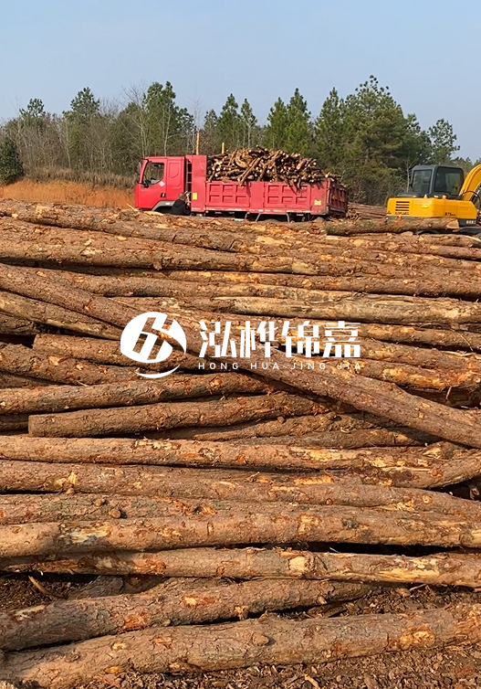 8米小頭11-13CM的松木樁價格是多少？打樁施工怎么算？