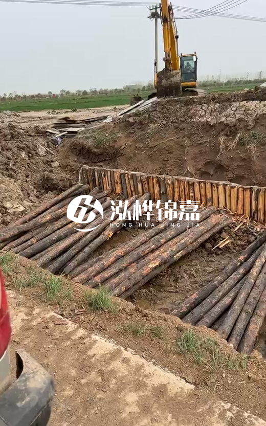 4米直徑12-13油松批發(fā)價最低多少？報價含稅含運嗎？