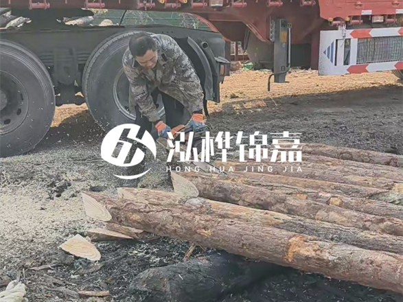 松木圓木價(jià)格大概多少一方-松木樁廠家按方可以賣嗎？