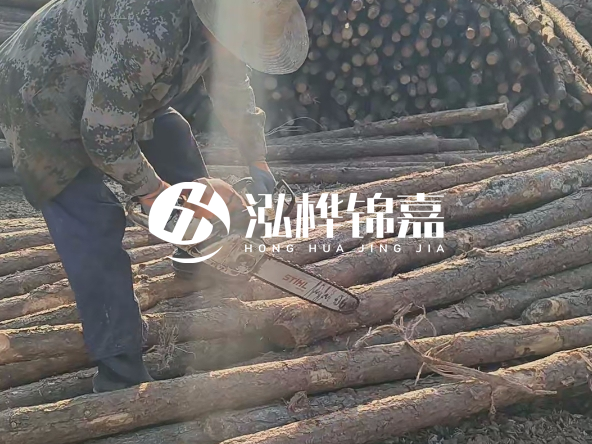 廣東打樁木源頭廠家泓樺錦嘉 - 如何選擇適合特定邊坡的松木樁？