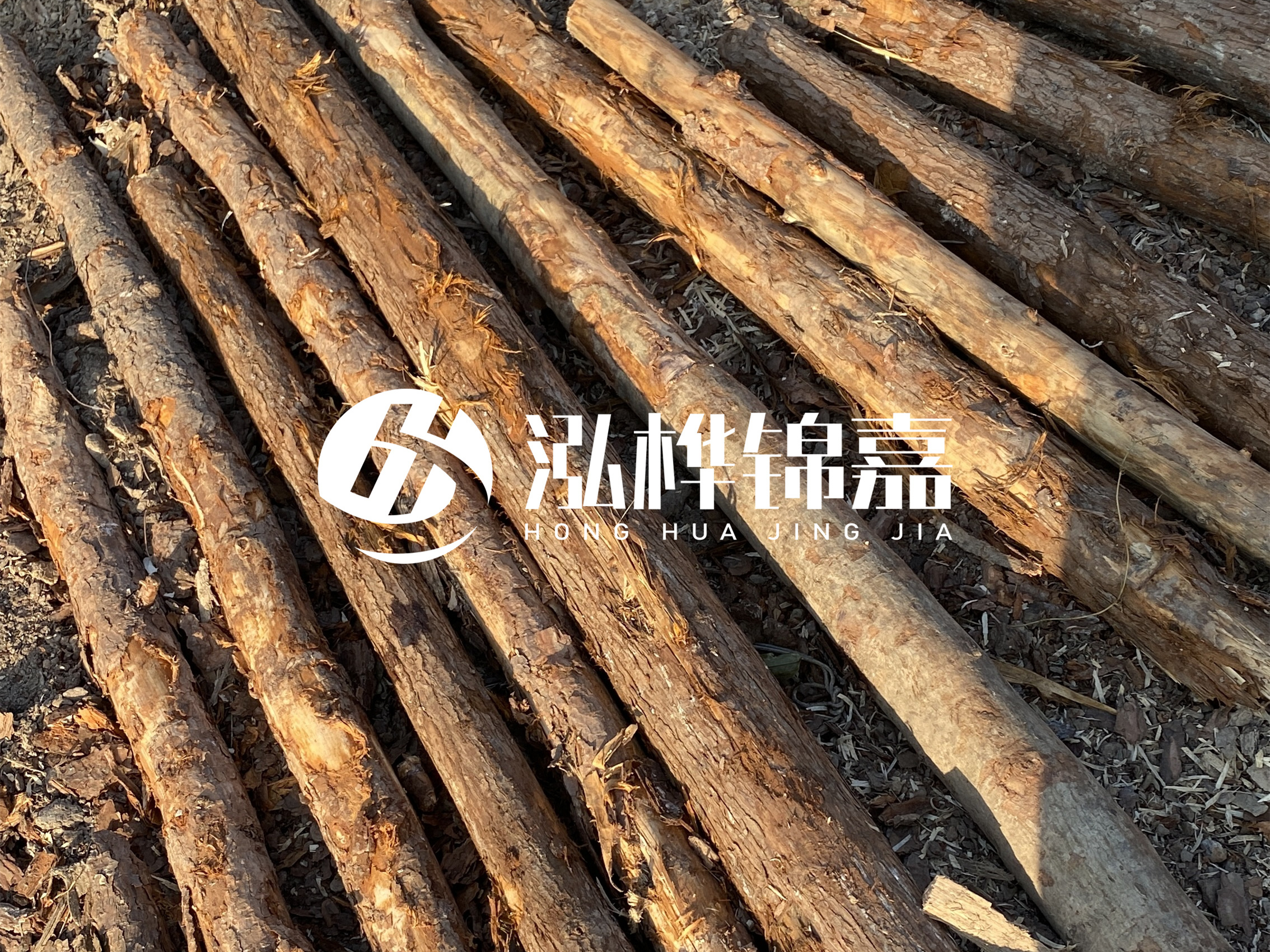 河道木樁多少錢一根？河道木樁的使用以及保養(yǎng)方法?