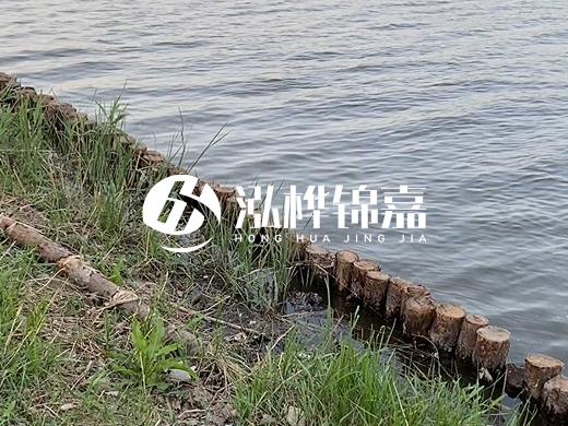 防洪松木樁施工重要性？河道打木樁的位置怎么確定？