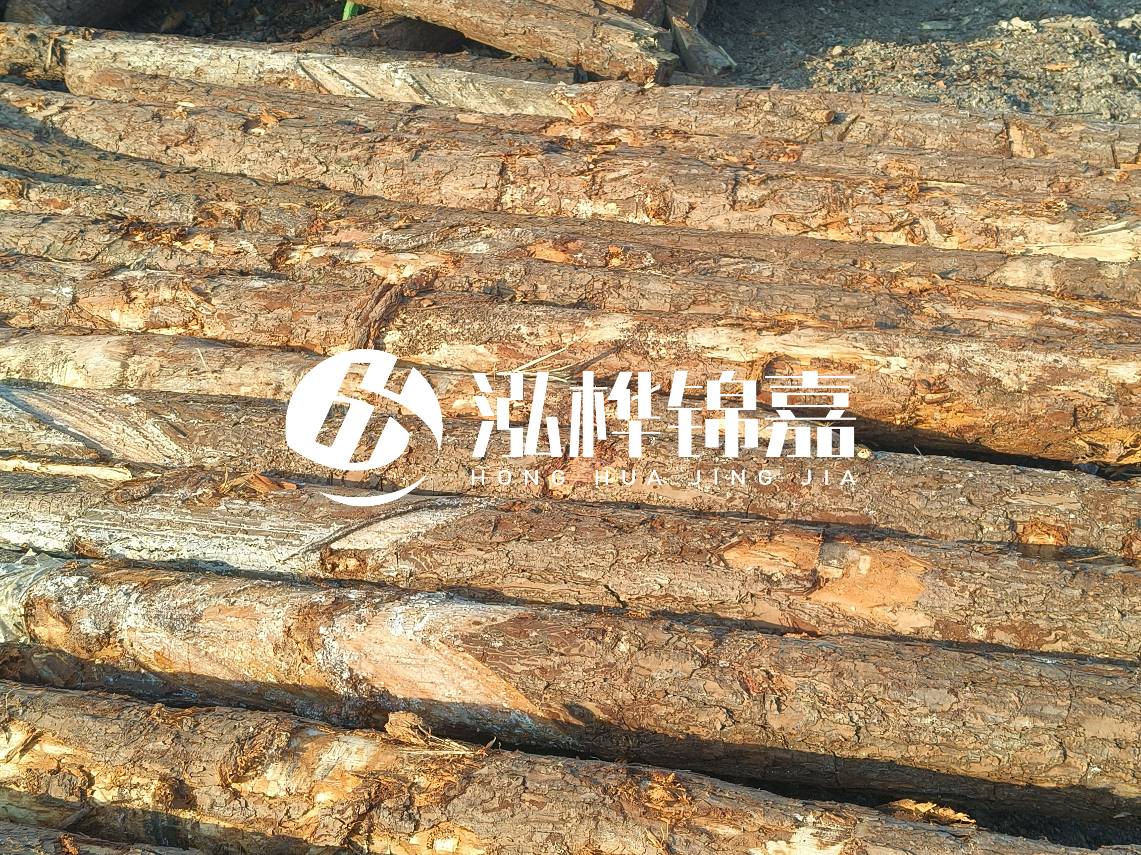 河道木樁的含水率過(guò)高會(huì)有什么問(wèn)題？怎么檢查松木樁含水率？