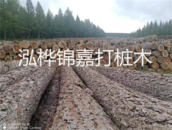 高效施工，圓松木樁助力建筑工程進展順利